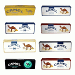 Camel Cigarettes